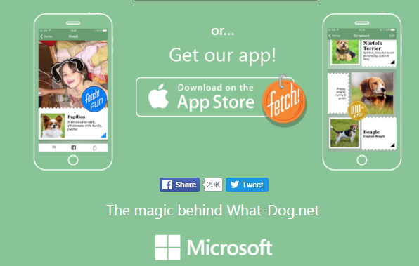 Ứng dụng Fetch trên bản di động