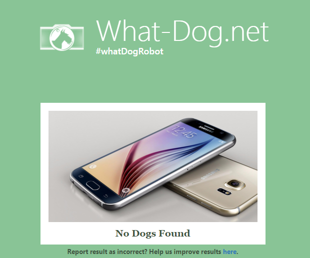 Kết quả ứng dụng Fetch