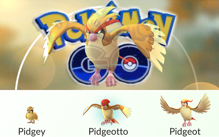 7 điều cần lưu ý khi chơi Pokemon GO 2