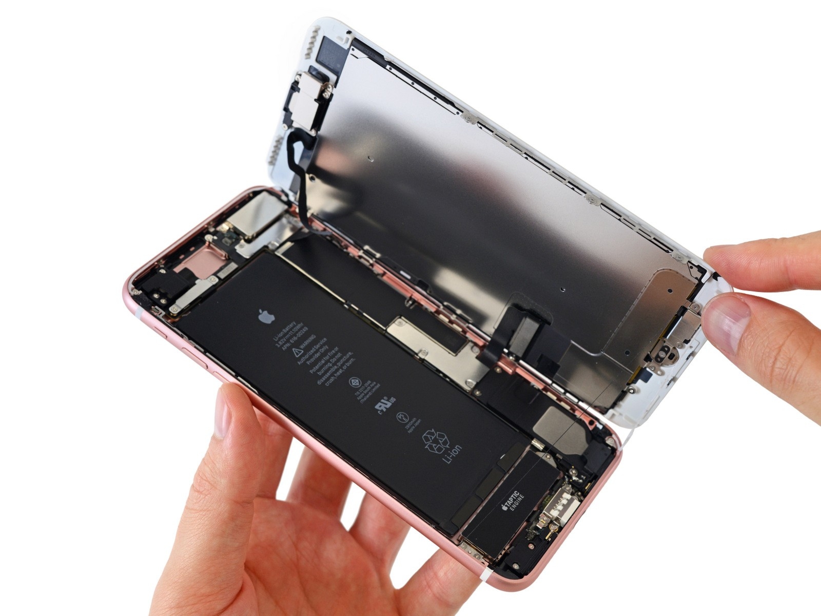 Phác họa chân dung iPhone năm 2020 5