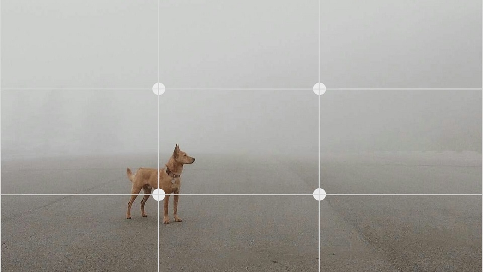 Những tuyệt kĩ giúp làm chủ camera Galaxy J7 Pro hoàn hảo 2