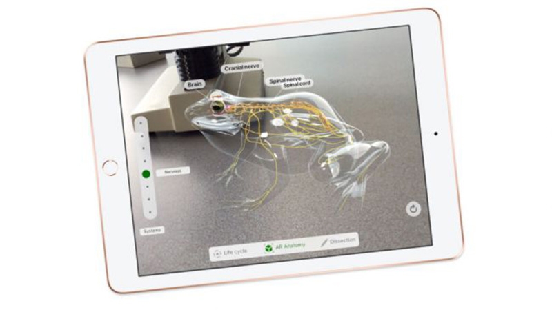 So sánh iPad 9.7 inch mới ra mắt với iPad 9.7 inch (2017) 2