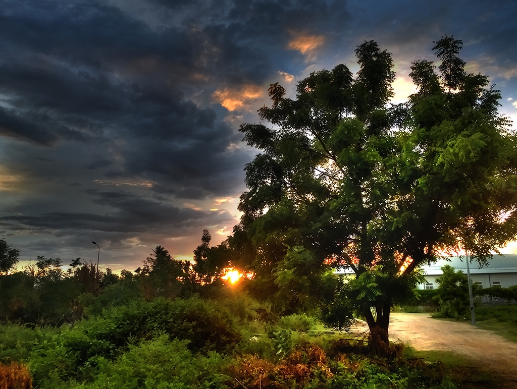 Hướng dẫn chụp ảnh HDR với Lumia 950 XL Hướng dẫn chụp ảnh HDR với Lumia 950 XL