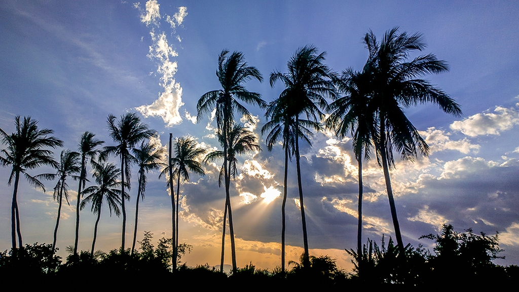 Hướng dẫn chụp ảnh HDR với Lumia 950 XL Hướng dẫn chụp ảnh HDR với Lumia 950 XL