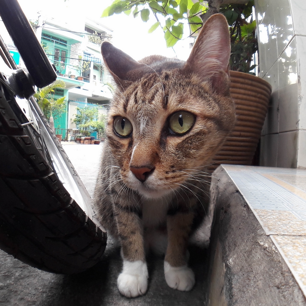 Bất ngờ với chất lượng camera Galaxy A Series (2016)