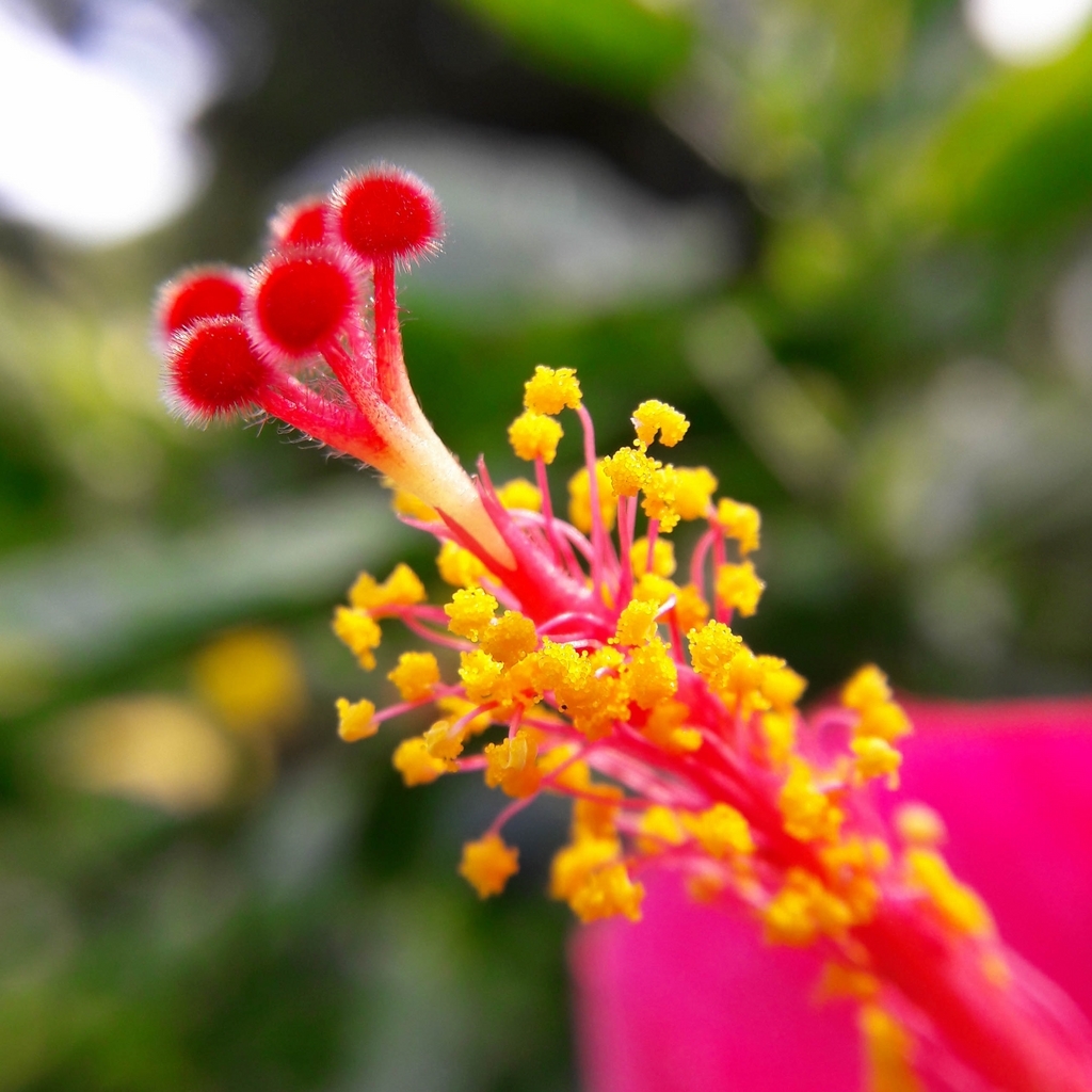 Bất ngờ với chất lượng camera Galaxy A Series (2016)