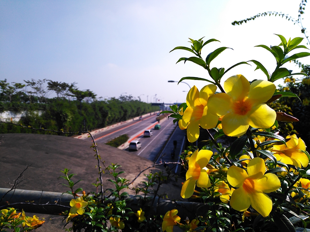 Đánh giá Camera Obi SF1