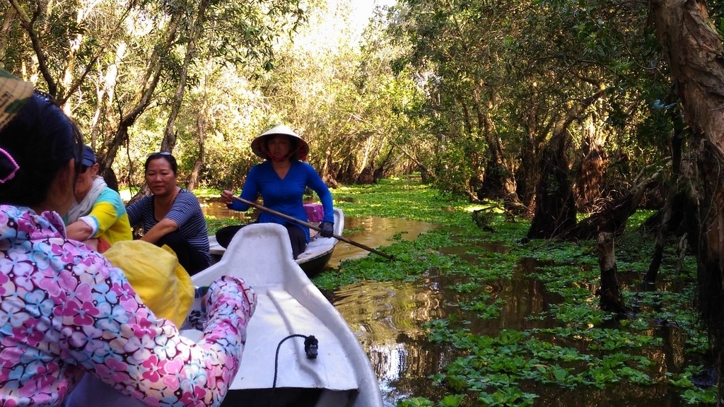 Chụp ảnh đẹp với Asus Zenfone Laser 5.5 inch