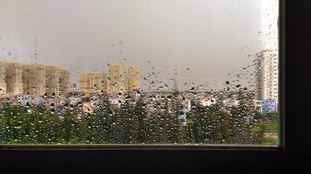 Chụp ảnh đẹp với Asus Zenfone Laser 5.5 inch