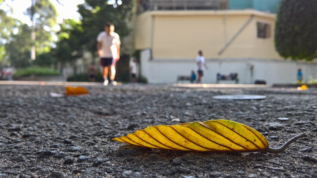 Đánh giá camera Lumia 950XL - Trên cả tuyệt vời