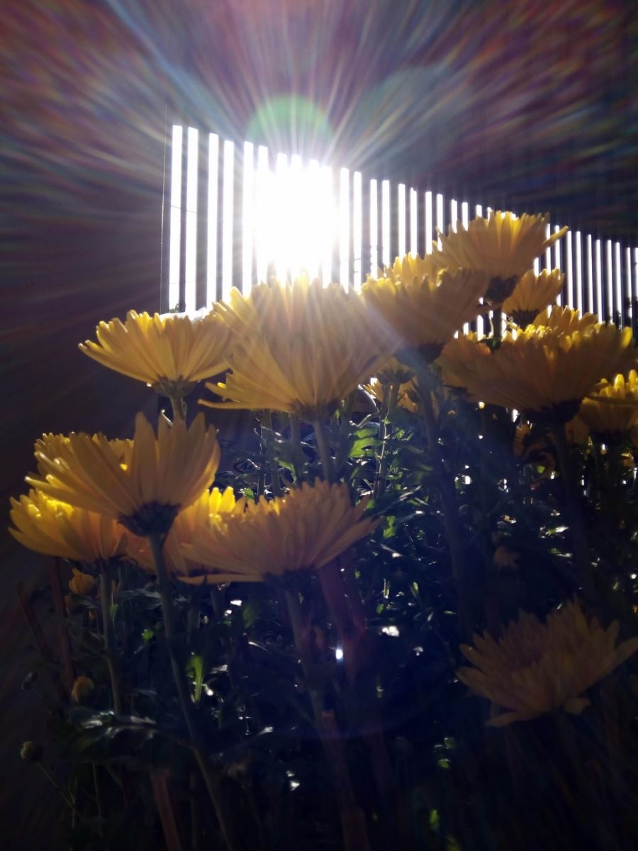 Đánh giá camera Mobiistar Prime X Grand Đánh giá camera Mobiistar Prime X Grand