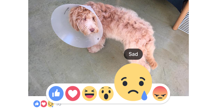 Facebook cập nhật tính năng cảm xúc mới