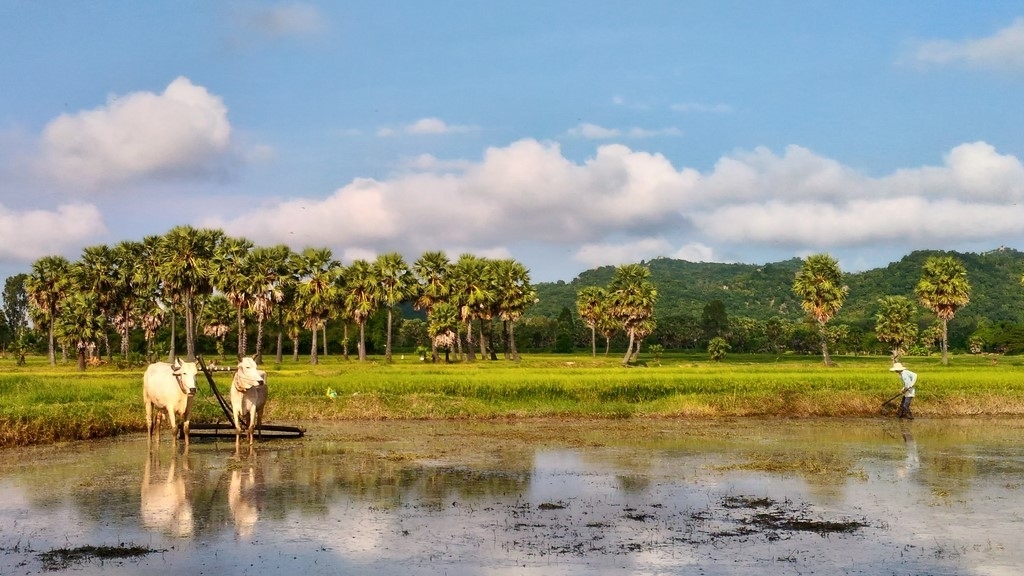 Đánh giá Camera Asus Zenfone 2 Laser 5.5 inch