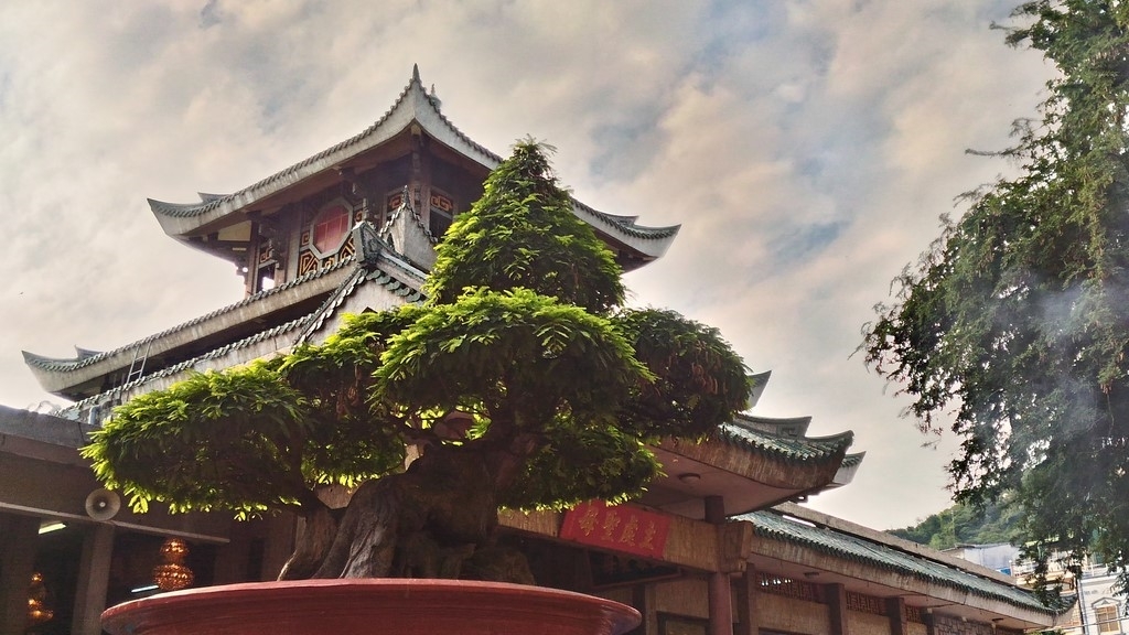 Đánh giá Camera Asus Zenfone Laser 5.5 inch