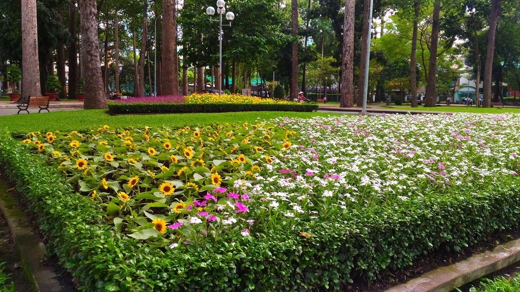 Đánh giá Camera Asus Zenfone Laser 5.5 inch