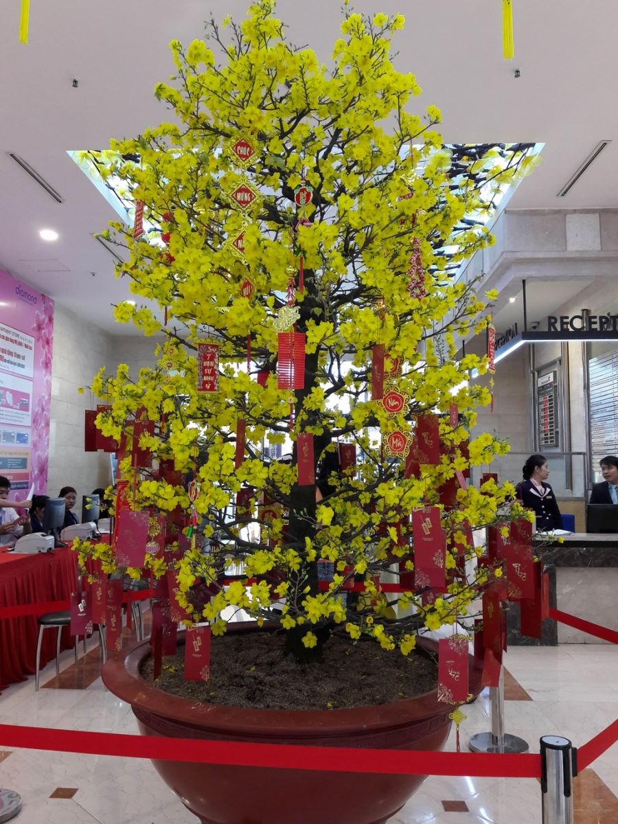 Đến lượt Galaxy A5 (2016) đọ camera với iPhone 6