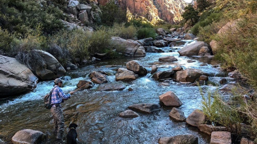 Xem những hình ảnh chụp ngoài trời của iPhone 7 Plus