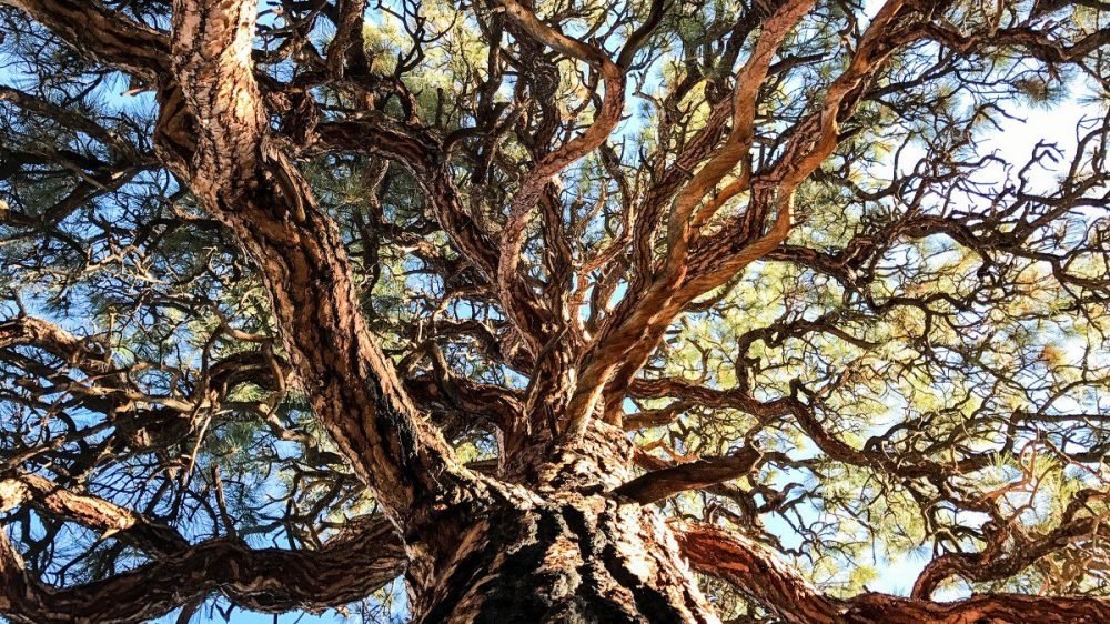 Xem những hình ảnh chụp ngoài trời của iPhone 7 Plus