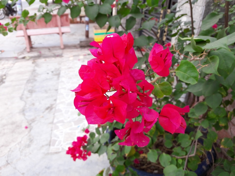 Đánh giá chi tiết Samsung Galaxy A5 (2016)