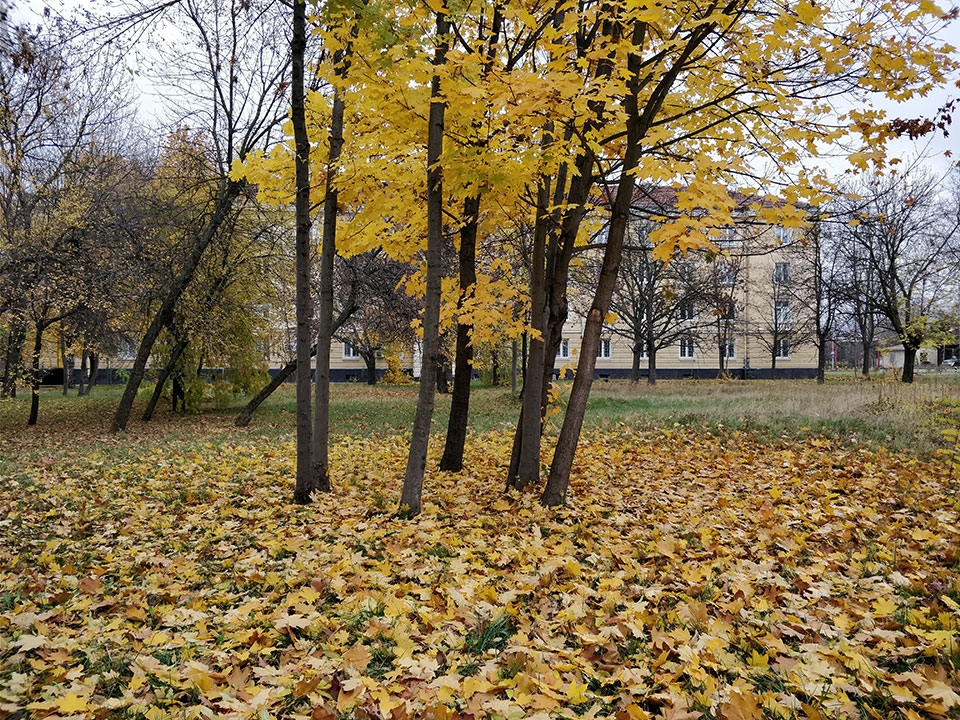 Trải nghiệm camera OnePlus 5T