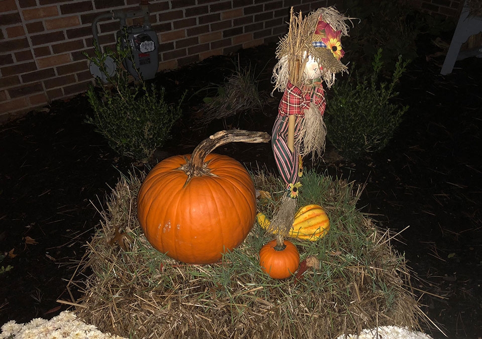 Camera iPhone X vs Pixel 2 XL
