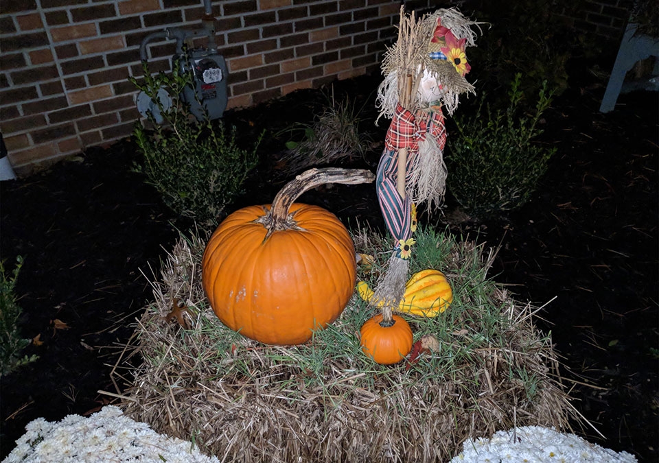 Camera iPhone X vs Pixel 2 XL