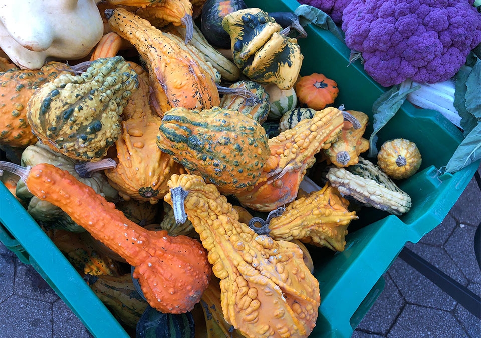 Camera iPhone X vs Pixel 2 XL