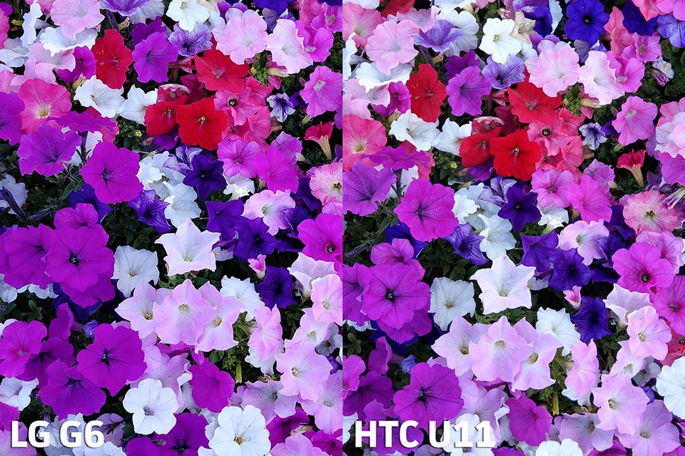 So sánh camera HTC U11 vs LG G6 So sánh camera HTC U11 vs LG G6