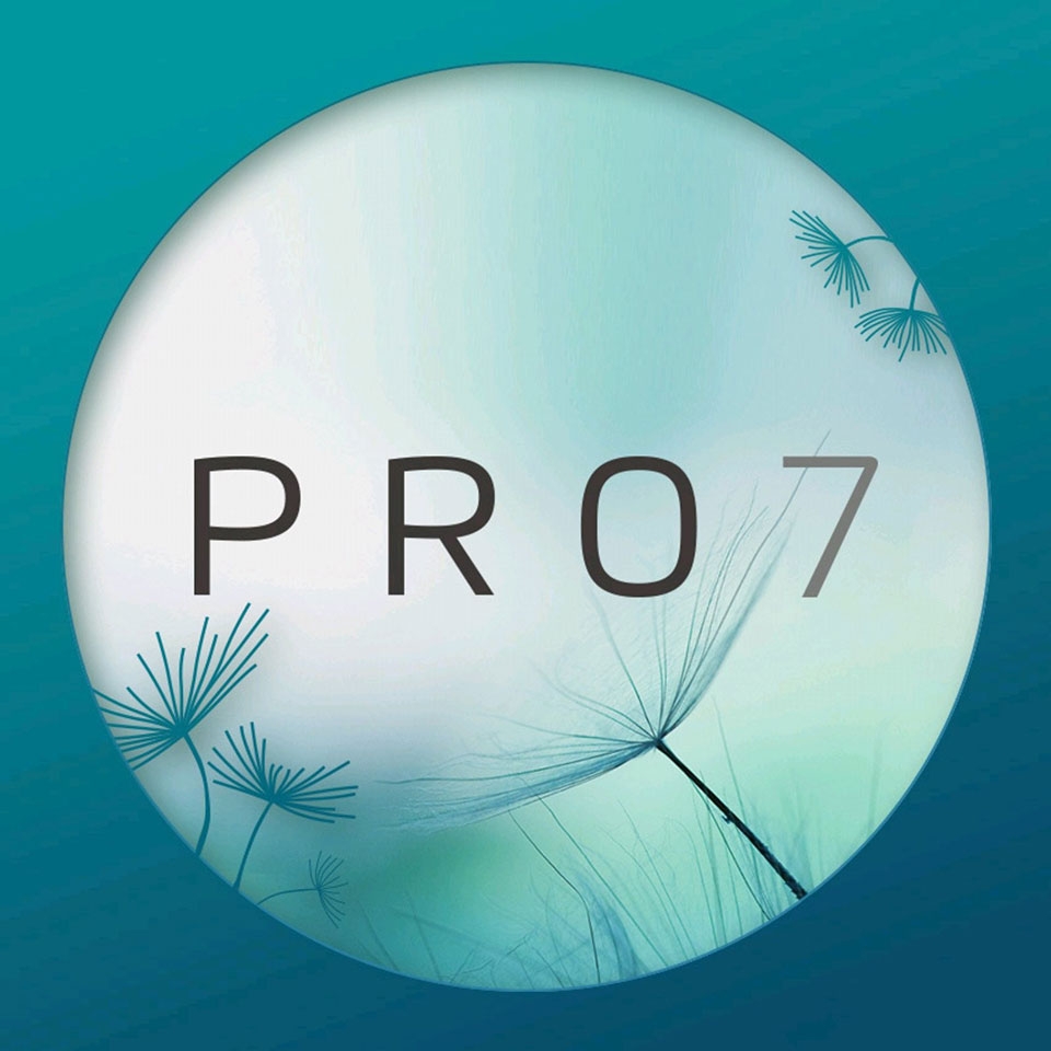 Meizu Pro 7