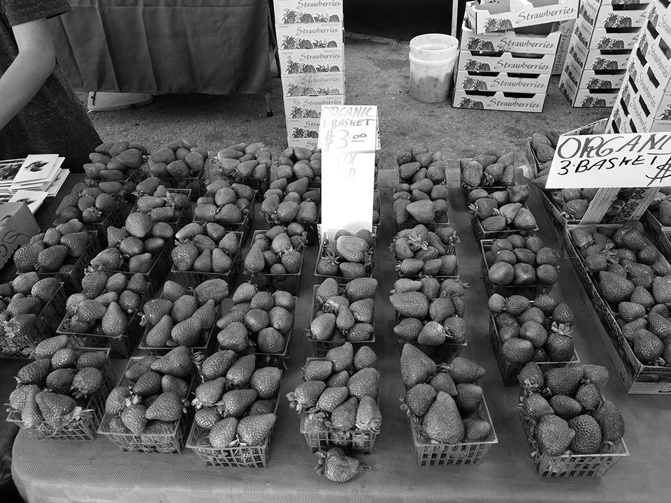 Đánh giá Essential Phone Đánh giá Essential Phone