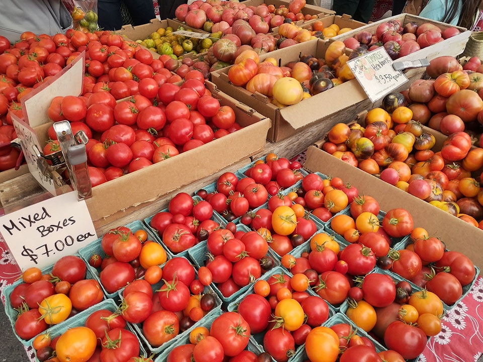 Đánh giá Essential Phone Đánh giá Essential Phone