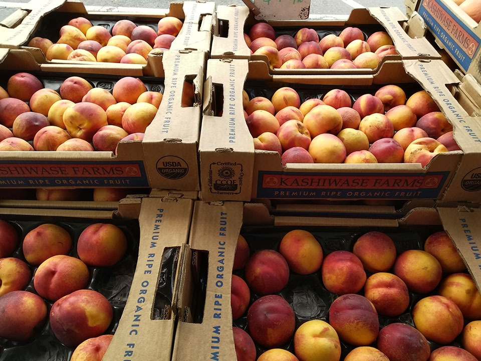 Đánh giá Essential Phone Đánh giá Essential Phone