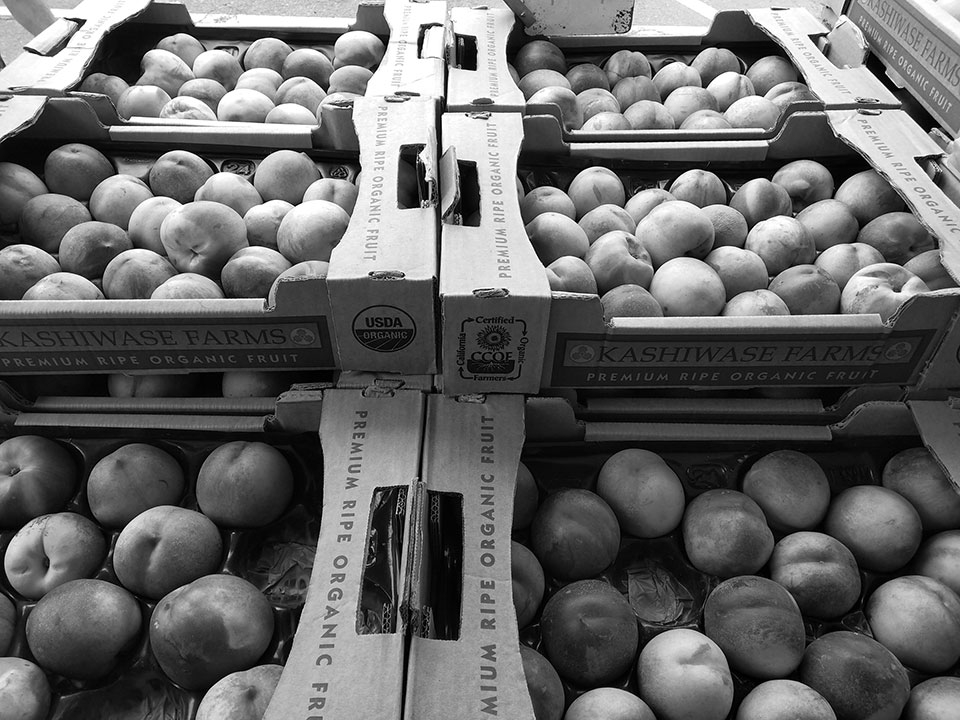 Đánh giá Essential Phone Đánh giá Essential Phone