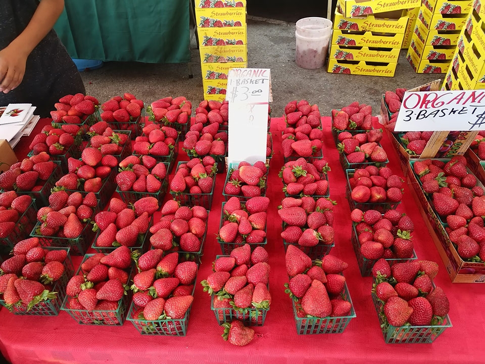 Đánh giá Essential Phone Đánh giá Essential Phone