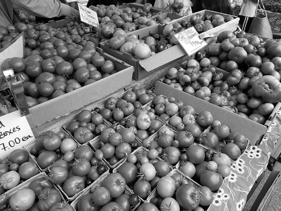 Đánh giá Essential Phone Đánh giá Essential Phone