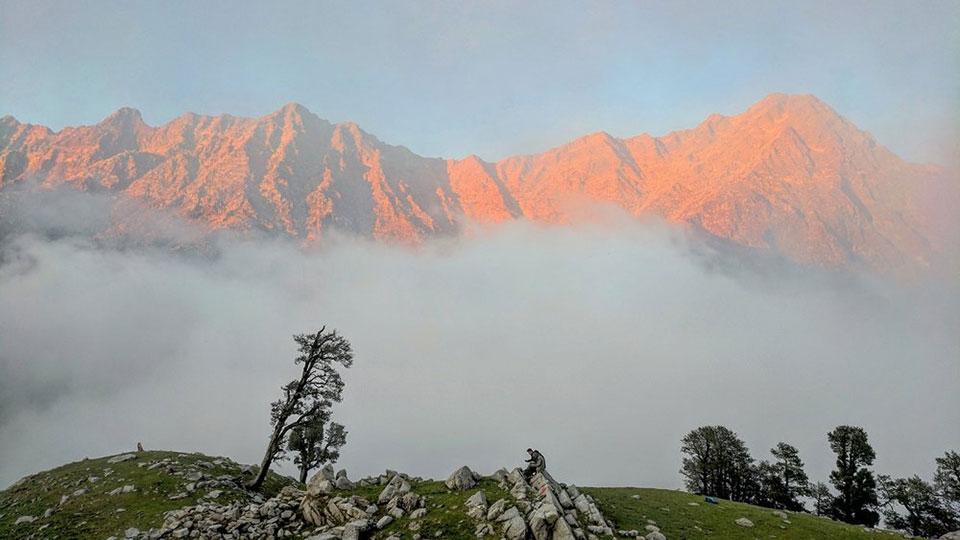 Camera Google Pixel 2