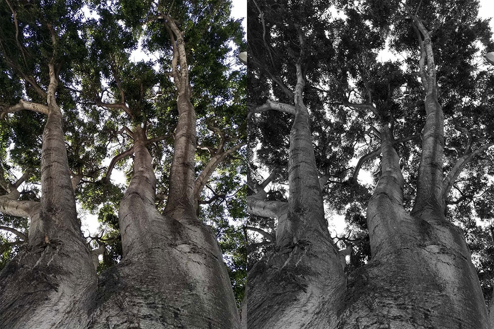 Camera kép trên Essential Phone Camera kép trên Essential Phone