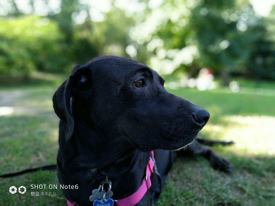 Đánh giá Meizu M6 Note