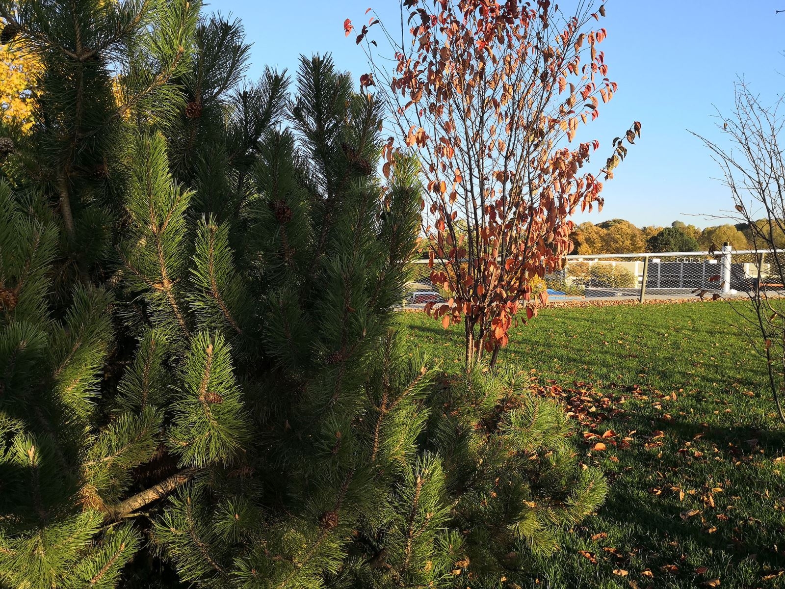 Camera Huawei Mate 10 Pro vs Mate 9