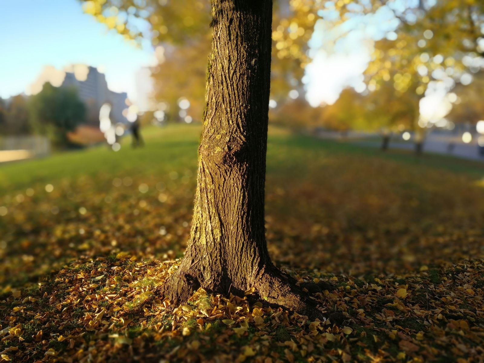 Camera Huawei Mate 10 Pro vs Mate 9