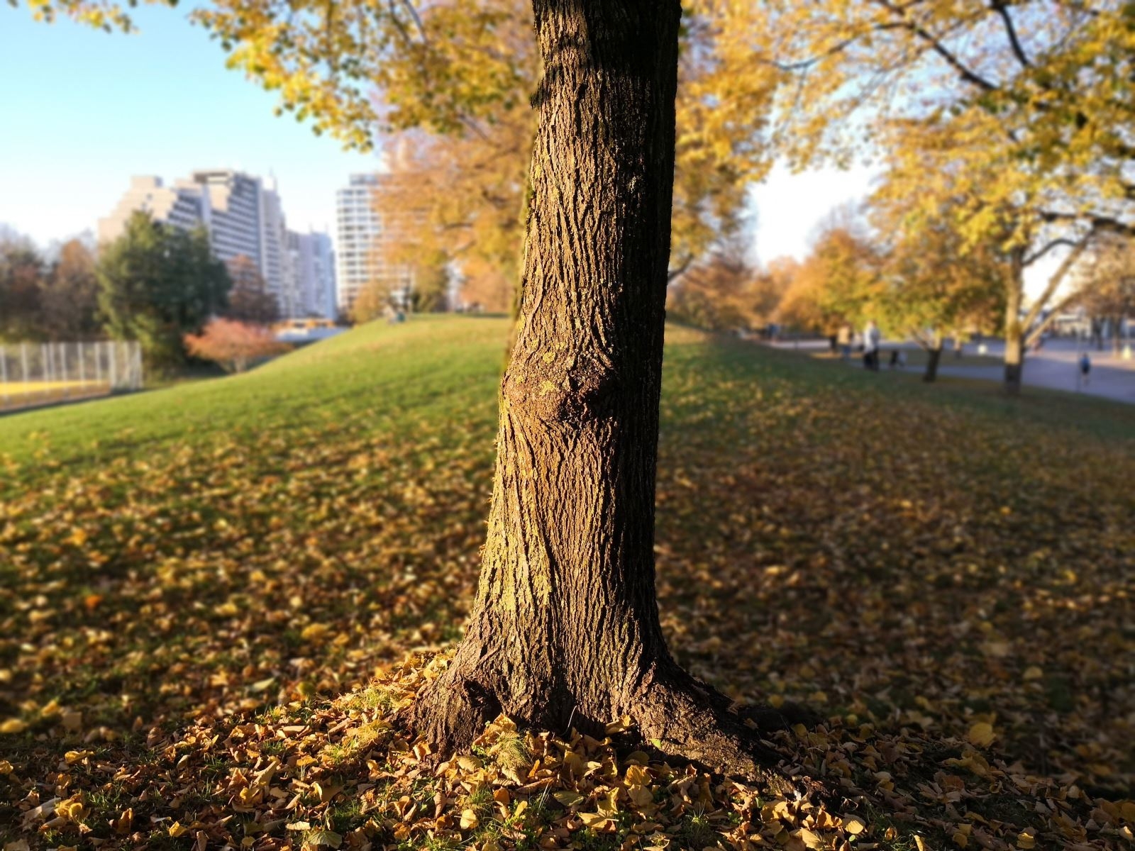 Camera Huawei Mate 10 Pro vs Mate 9