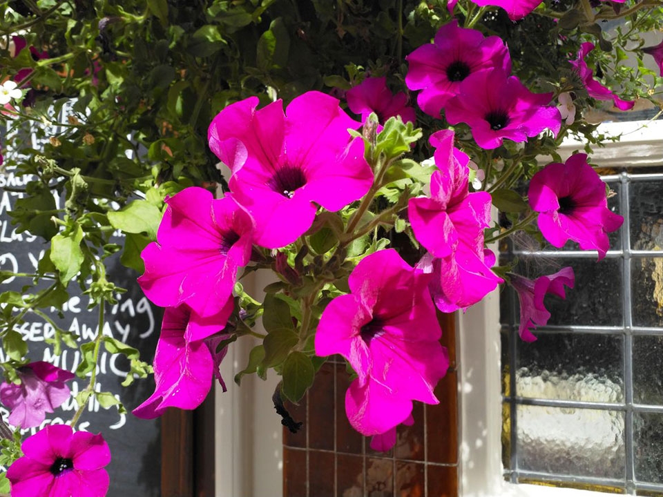 Trải nghiệm camera Nokia 8: Liệu có thực sự tốt?