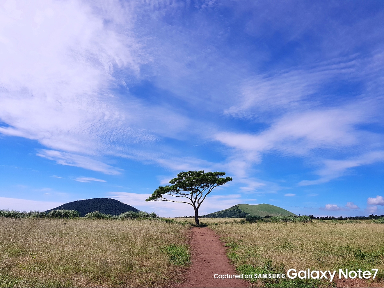 Ngắm nhìn những hình ảnh tuyệt đẹp chụp từ camera Galaxy Note 7
