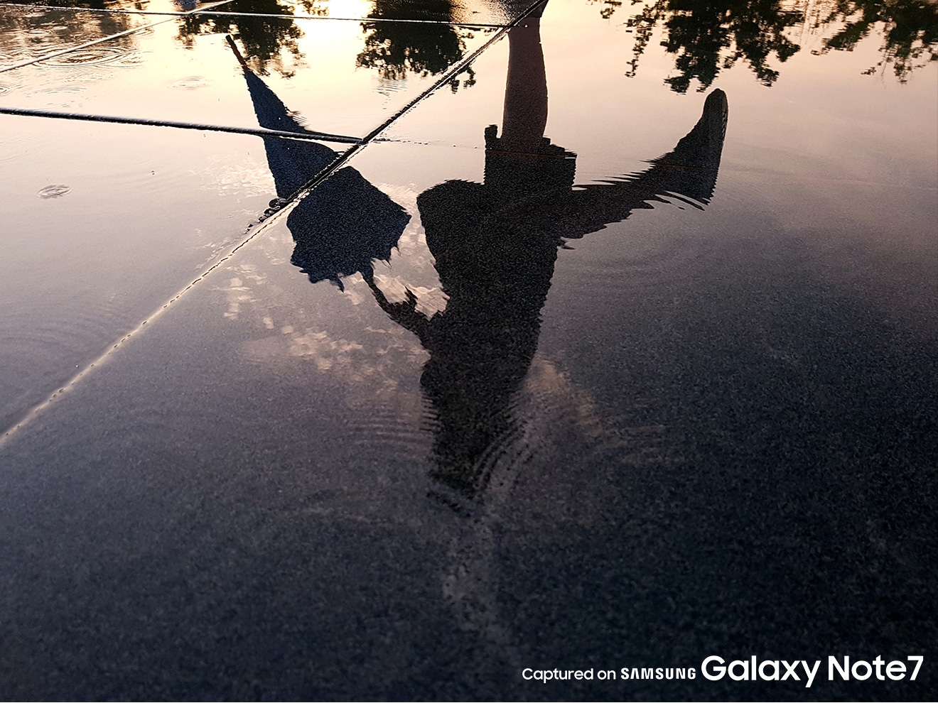 Ngắm nhìn những hình ảnh tuyệt đẹp chụp từ camera Galaxy Note 7