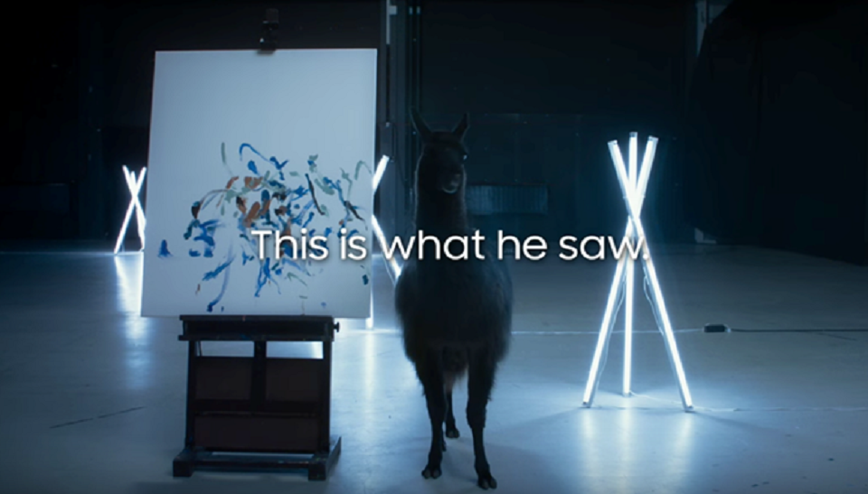 Lạc đà được chọn để mở hộp Galaxy S7 đầu tiên thế giới