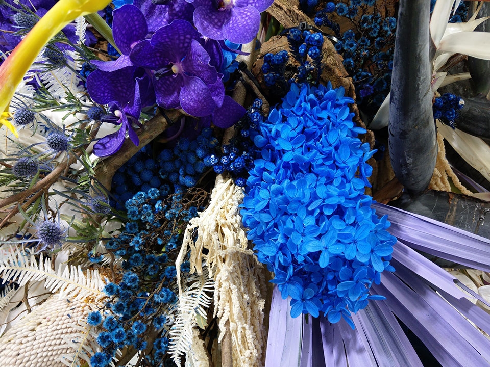 Camera UltraPixel 3 trên HTC U11