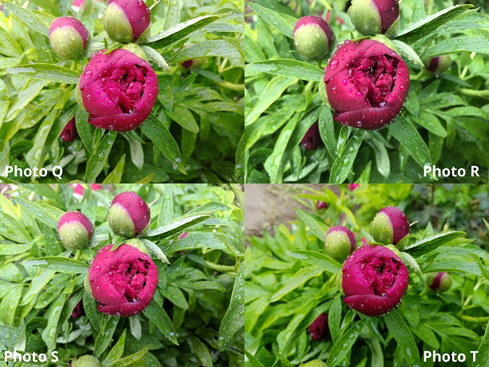 Đọ camera Galaxy S8, iPhone 7, Google Pixel, LG G6