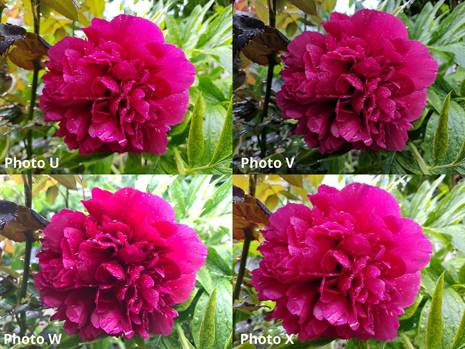 Đọ camera Galaxy S8, iPhone 7, Google Pixel, LG G6