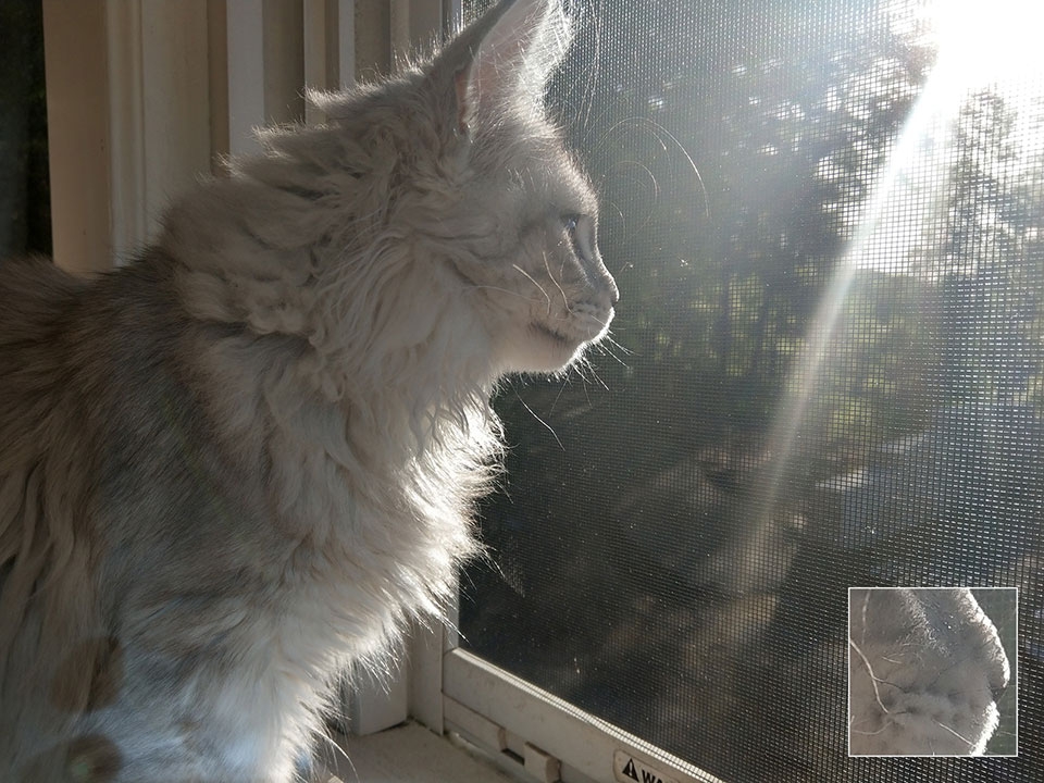 Đánh giá camera HTC U11