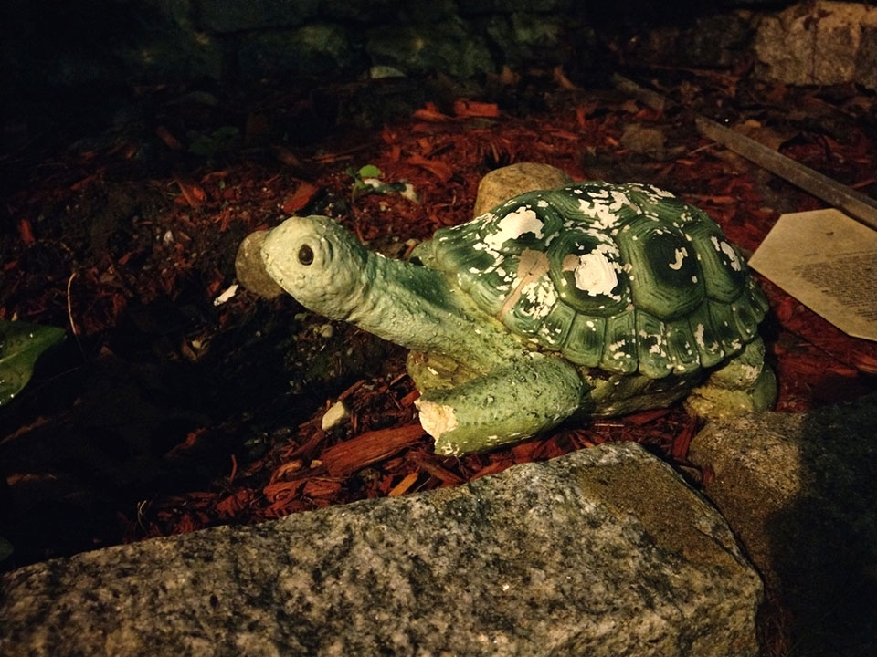 Đánh giá camera HTC U11